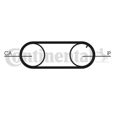 Timing Belt